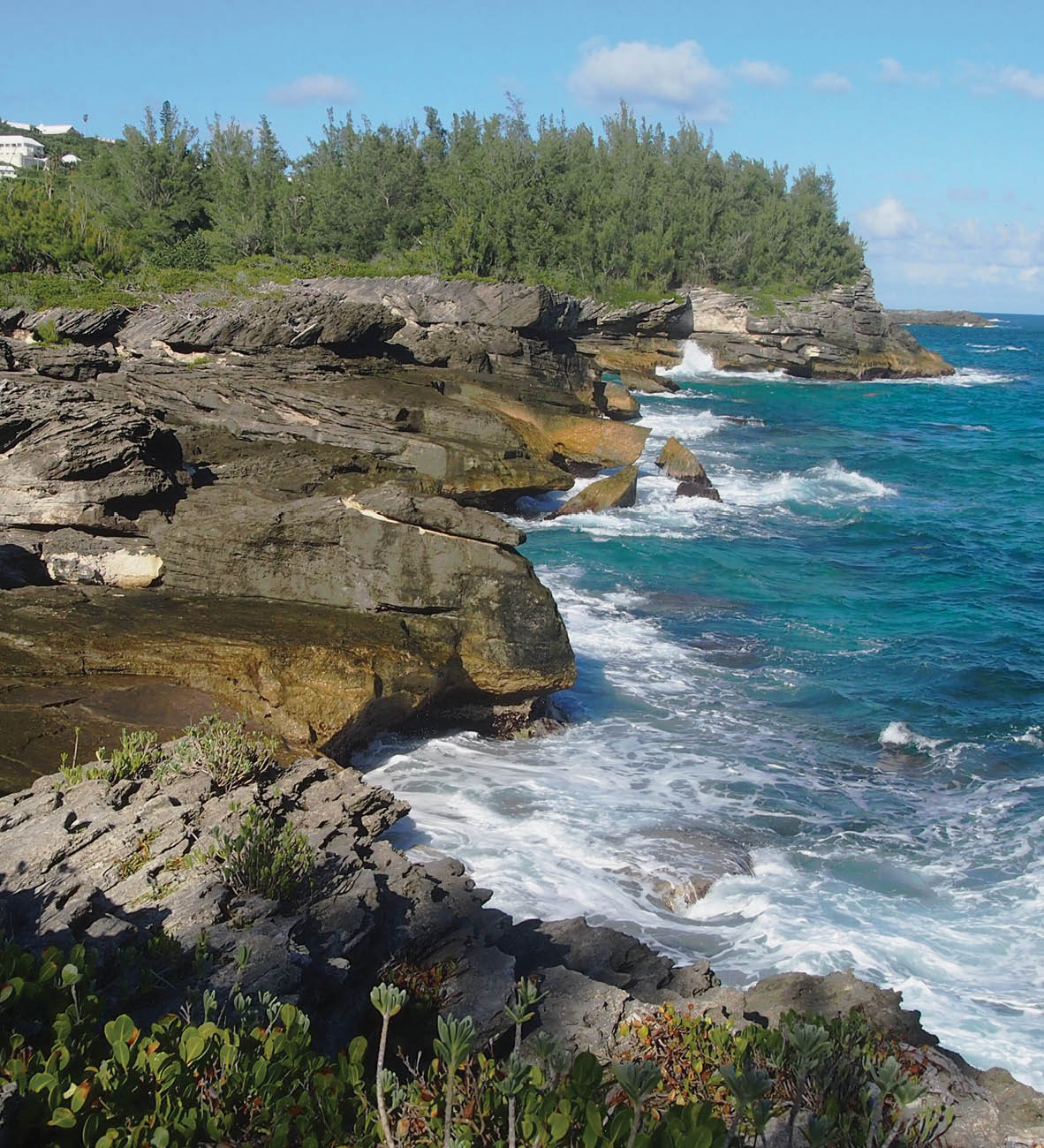 Ocean Waves Crashing White on Rocks at Spittal Pond Nature Reserve Bermuda on Seaside