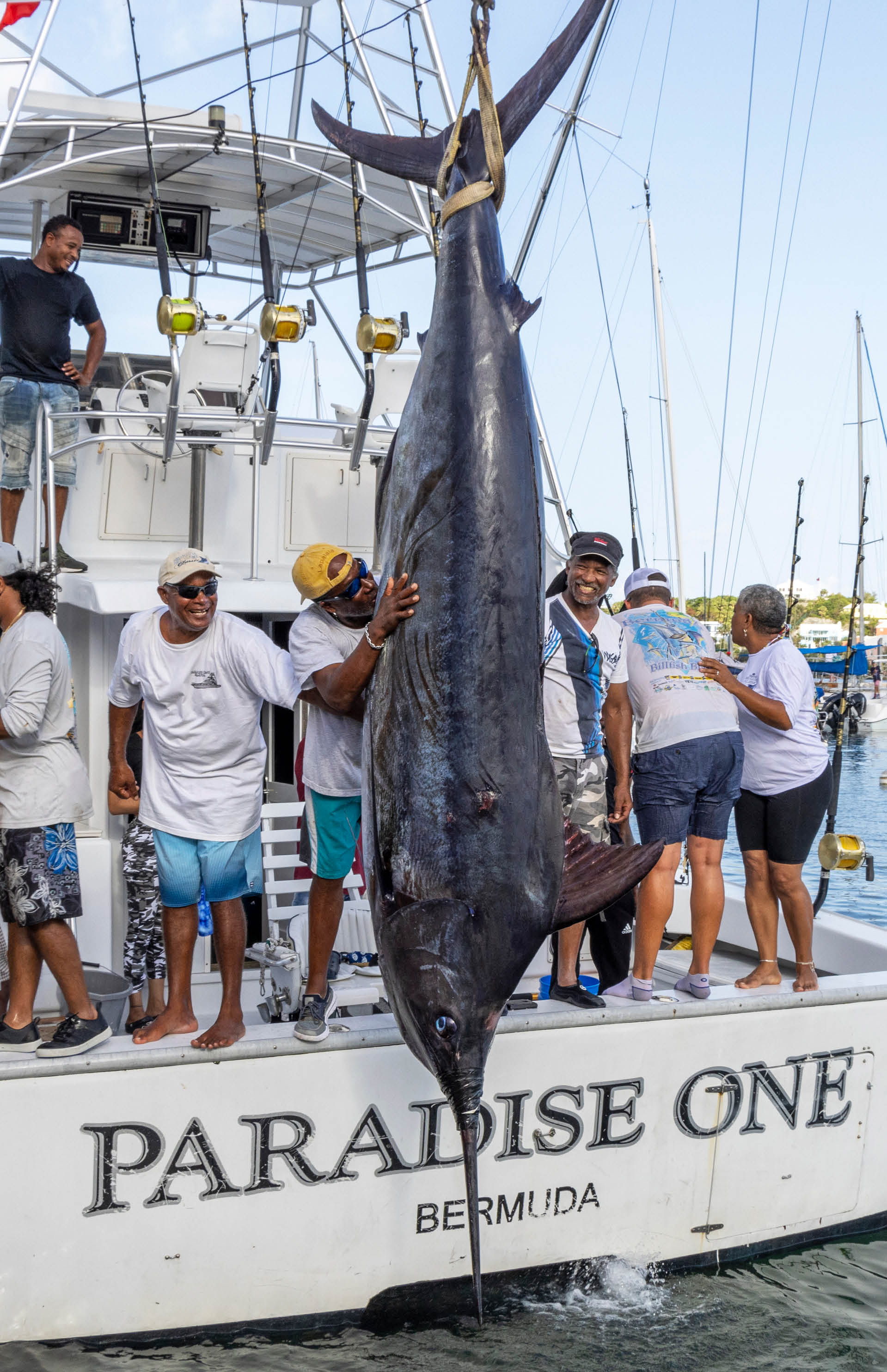Fish Bermuda vert photo