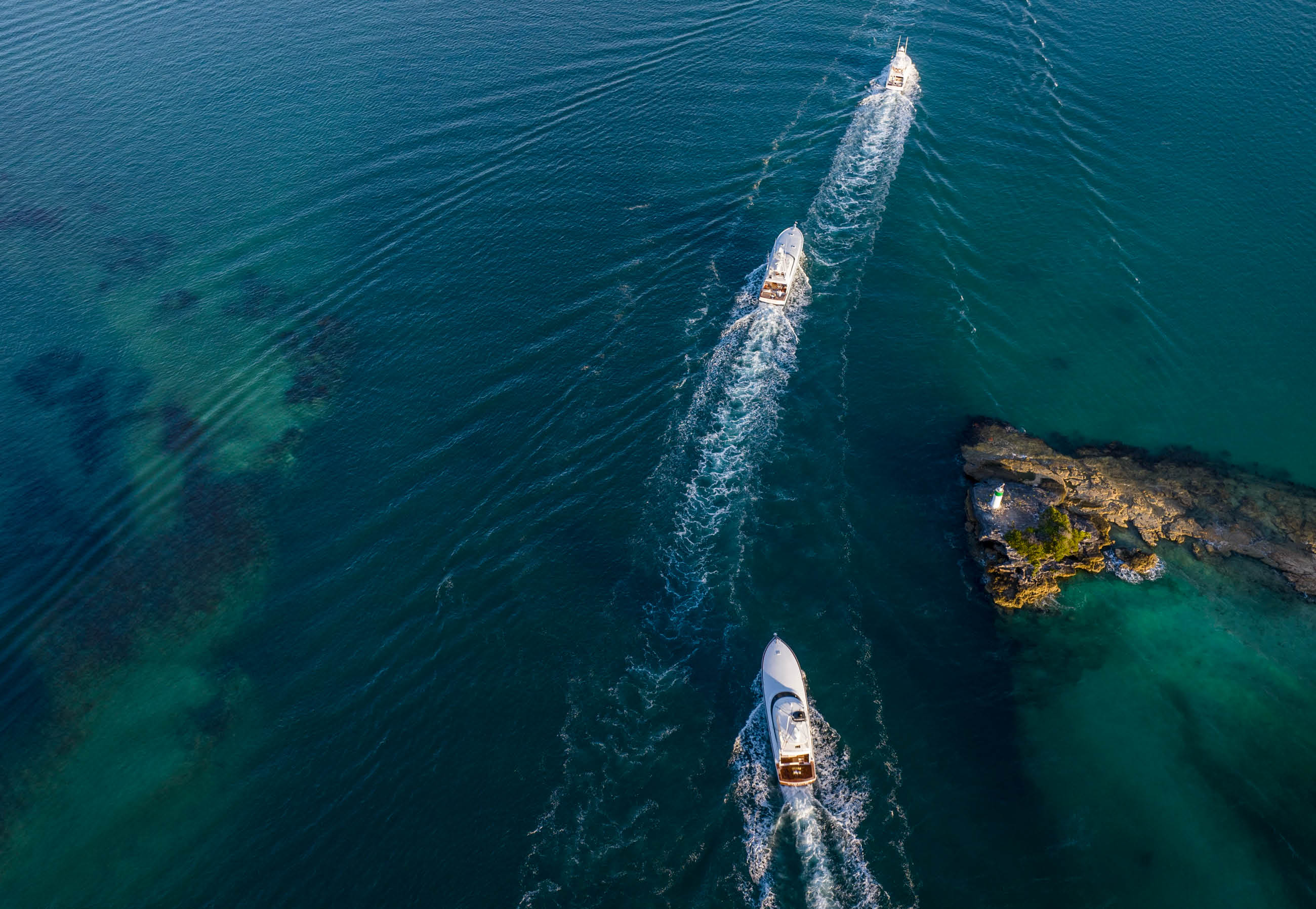 Everything lead photo